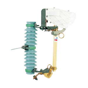 跌落式熔断器RW10(F)